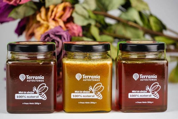 Miel Terranía con jengibre y cúrcuma 250gr - Imagen 2