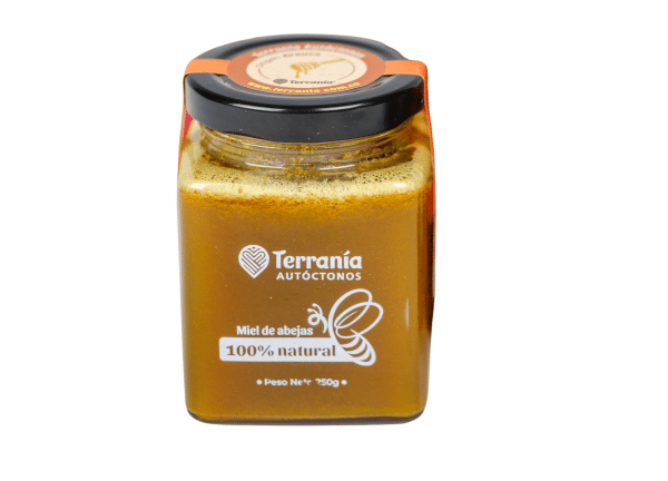 Miel Terranía con jengibre y cúrcuma 250gr